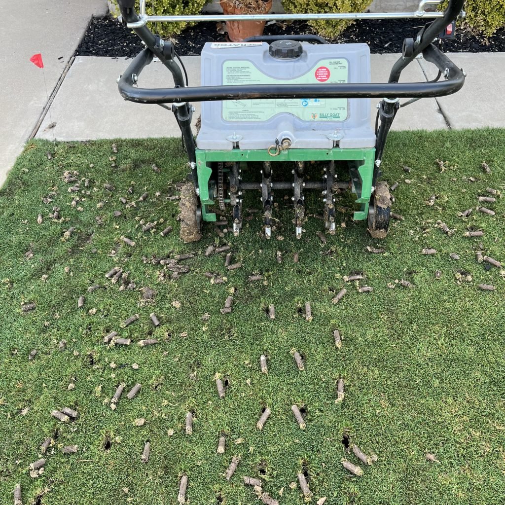 Professional Lawn Aeration Seattle Core Extraction